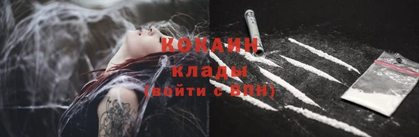 spice Новозыбков