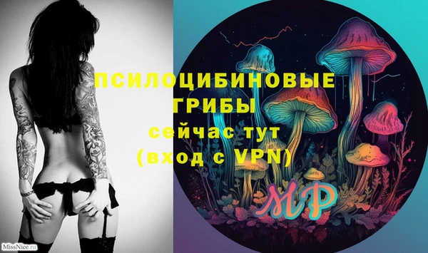спайс Абинск