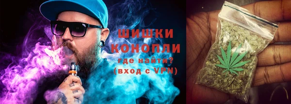 spice Новозыбков